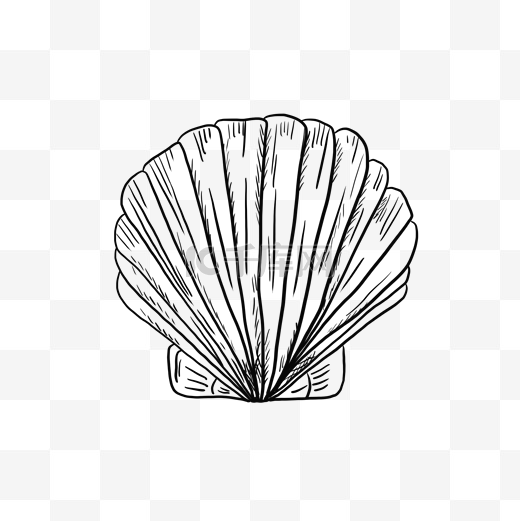 海鲜贝壳手绘线稿元素图片