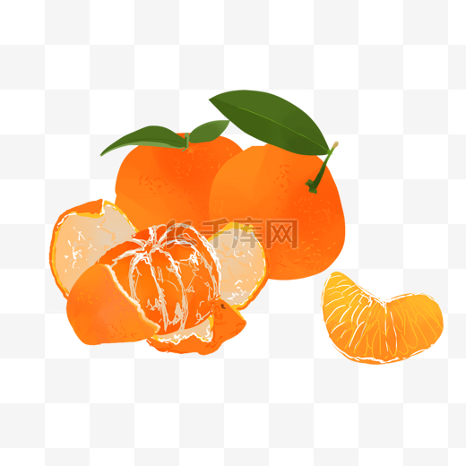 水果主题之橘子插画图片