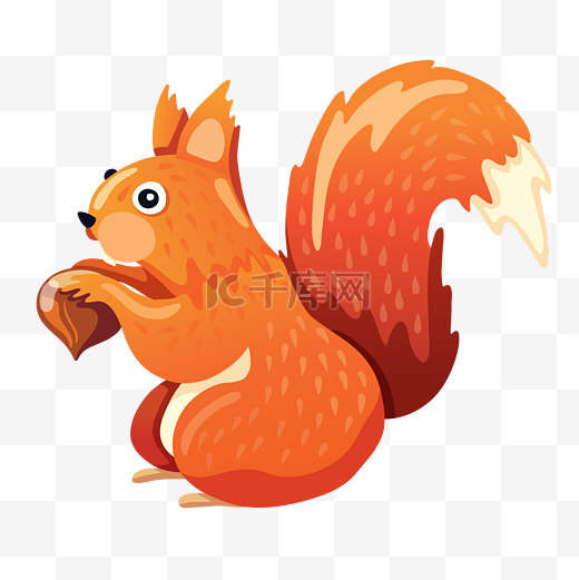 立秋啃松子的小松鼠图片