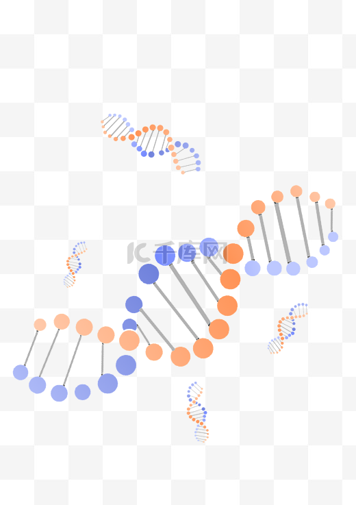 化学DNA结构图插画图片