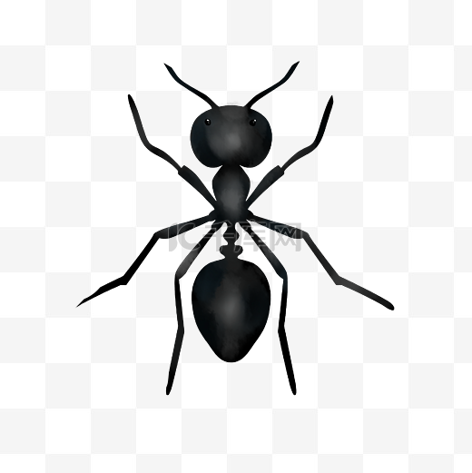 一只小蚂蚁手绘装饰图片