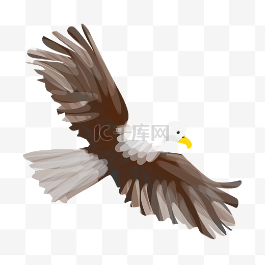 卡通翱翔的老鹰插画图片