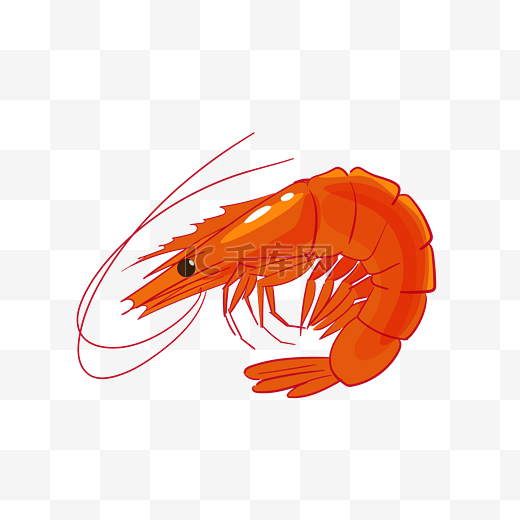 手绘海洋生物虾插画图片