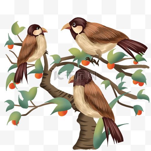 春天鸟类三只叽喳的麻雀图片