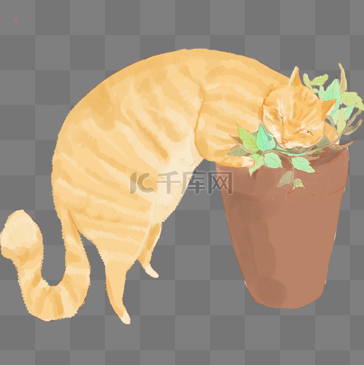 动植物卡通手绘风花草橘猫图片