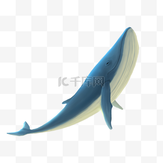 海洋公园海底世界鲸鱼蓝鲸动物手绘插画风图片