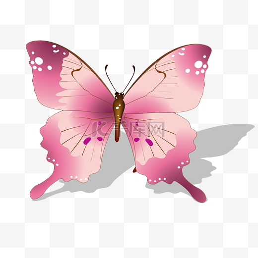 粉色矢量装饰蝴蝶图片