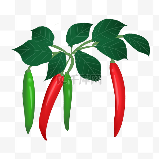红色绿色辣椒植物装饰图片
