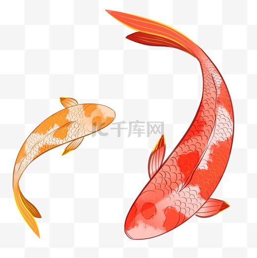 卡通两条游动的金鱼免抠图图片