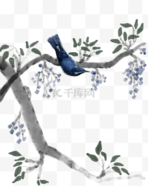 手绘鸟的蓝莓树插画图片