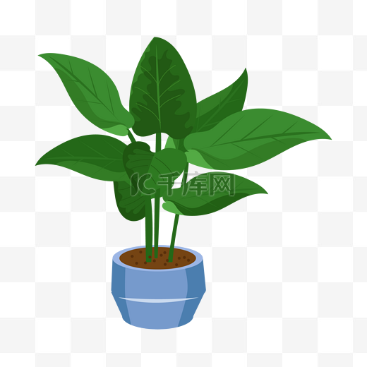 绿色植物盆栽卡通图片