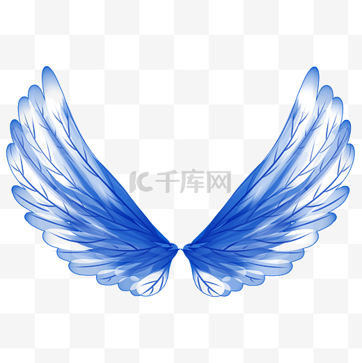 蓝色羽毛鸟类的翅膀图片