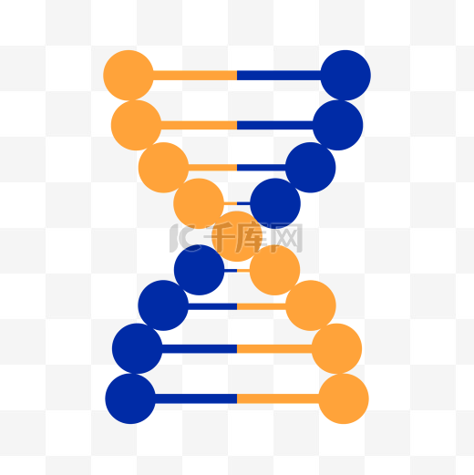 DNA双螺旋分子生物学图片