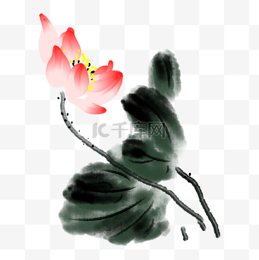 手绘中国风水墨荷花荷叶插画图片