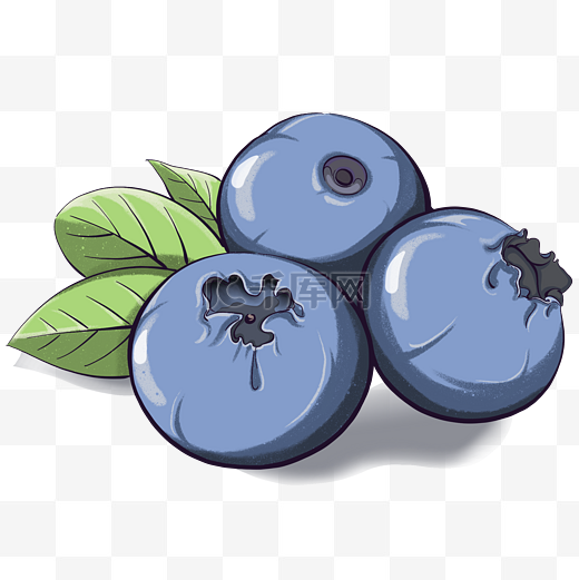 营养丰富的健康水果蓝莓图片