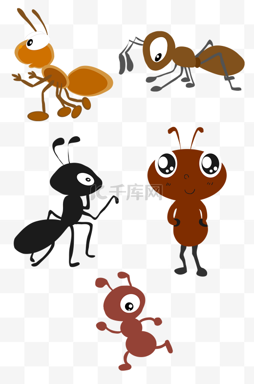 蚁蚂蚁白蚁动物家蚁繁殖力极强图片