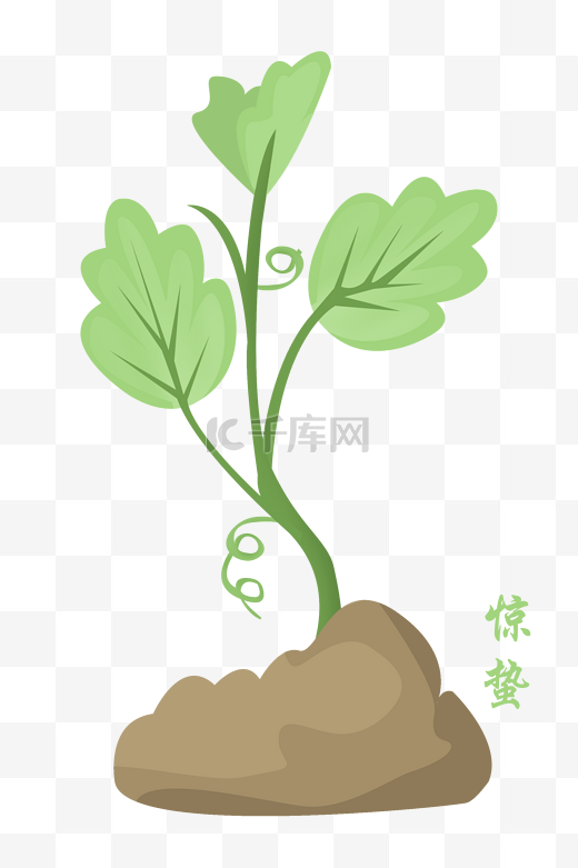 绿色植物惊蛰插画图片