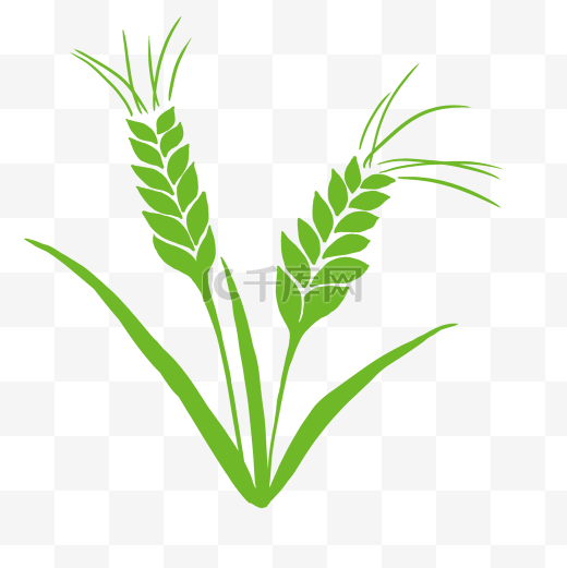 绿色水稻剪影PNG图片