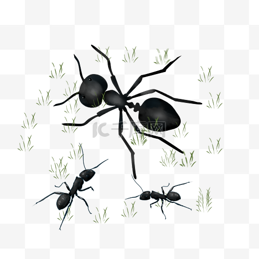 三只小蚂蚁手绘装饰图片