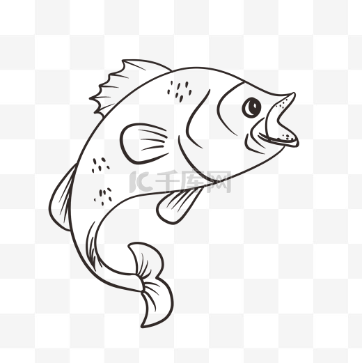 鱼黑白线稿手绘插画图片