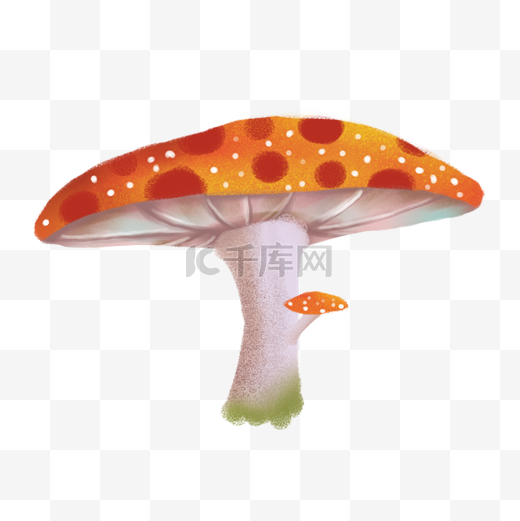 漂亮的蘑菇免抠图图片