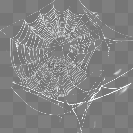 蜘蛛网网子蜘蛛网元素图片