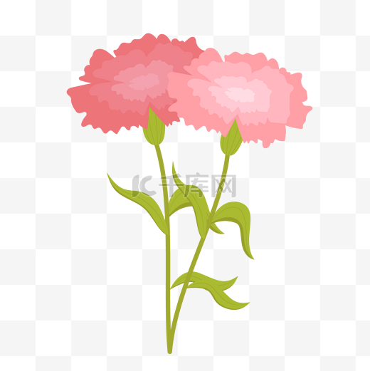 母亲节粉色康乃馨花朵矢量图图片