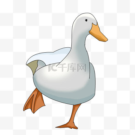 春节年货家禽走路的鸭子图片