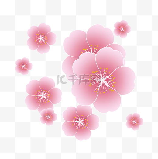 春天粉色的小花插画图片