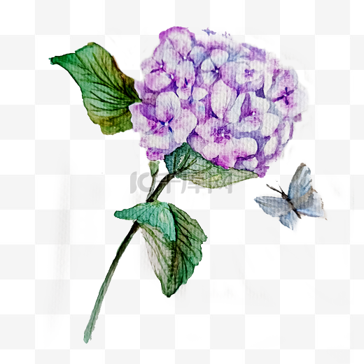绣球紫色花团PNG装饰唯美图片