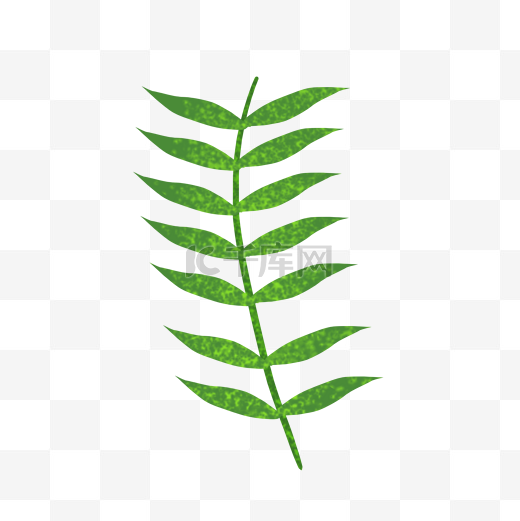 绿色创意版的植物树叶图片