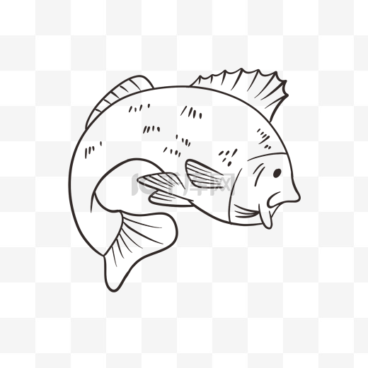 可爱鱼跃手绘线稿插画图片