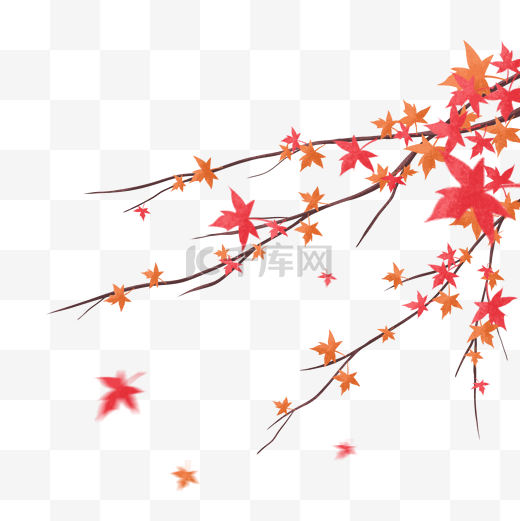古风唯美秋天枫叶树枝插画图片