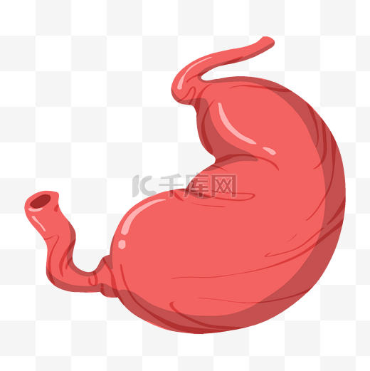 人体器官胃手绘插画图片