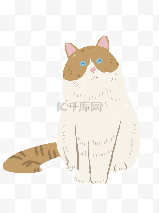 胖胖的猫咪卡通宠物设计图片