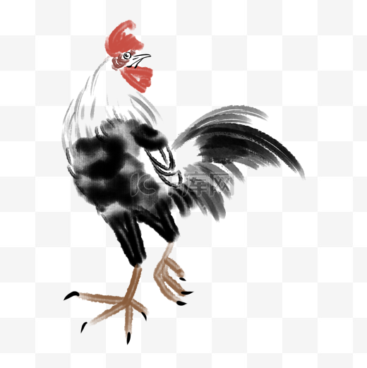 昂头的水墨公鸡插画图片