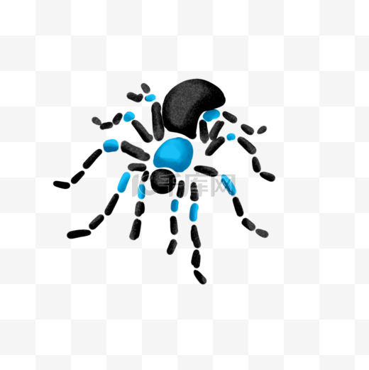 蓝黑色斑纹爬虫蜘蛛图片