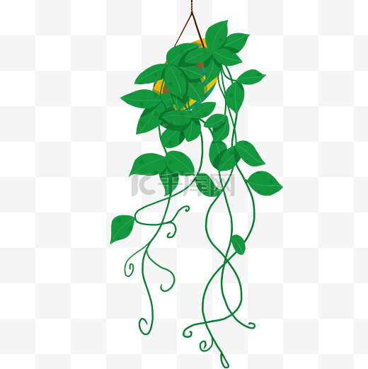手绘绿色绿萝植物吊篮花盆图片