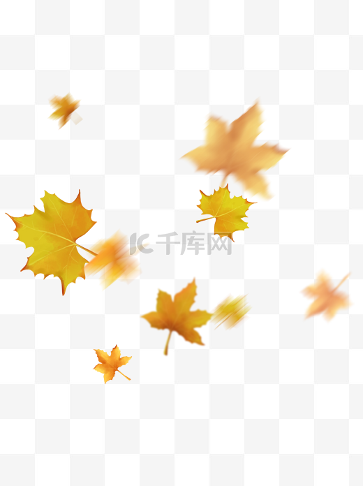 漂浮的叶子秋风吹落的梧桐叶飘落的黄色叶子图片