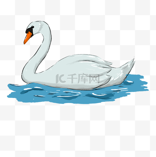 水里游的卡通白天鹅免抠图图片