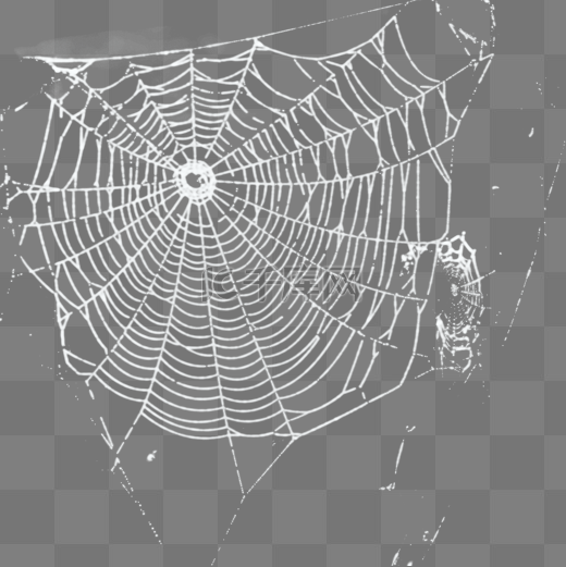 蜘蛛网网子蜘蛛网元素图片