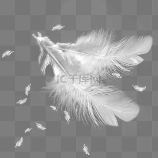 白色羽毛漂浮元素图片