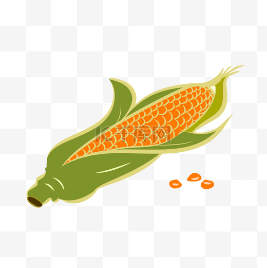 金黄玉米粮食丰收矢量图图片