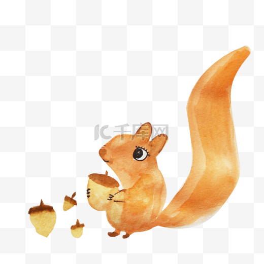 拿松果的小松鼠插画图片