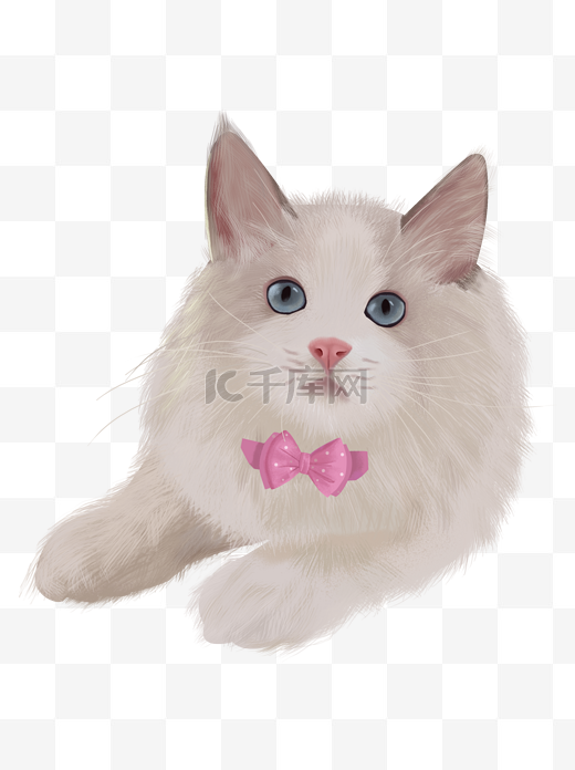 可爱手绘猫咪装饰元素图片