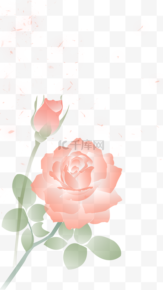 唯美浪漫玫瑰花朵花瓣图片