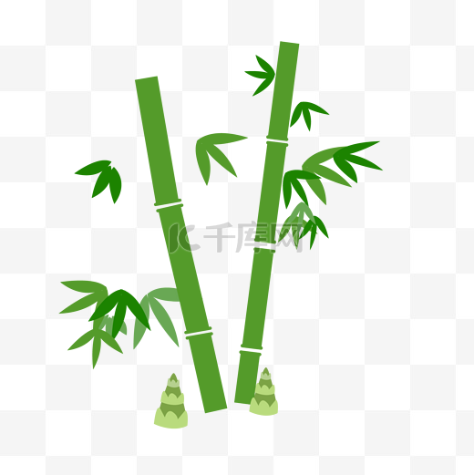 竹子竹叶和小竹笋图片