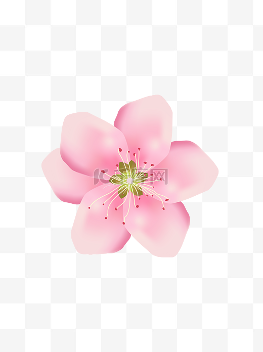 粉色绽放的桃花花朵图片