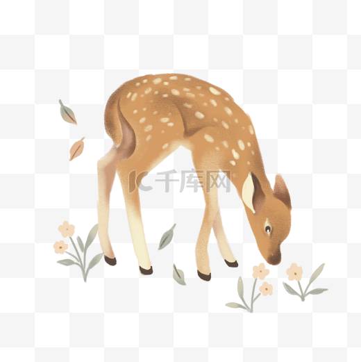 手绘一只低头觅食的可爱小鹿图片