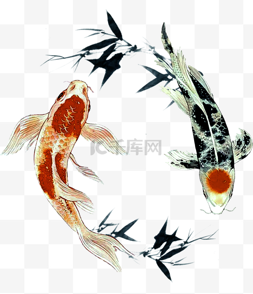 两条水墨画的鲤鱼图片